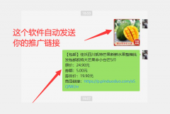 拼多多商品发单工具、多多进宝发单软件