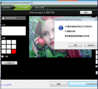 批量水印大师v3.0文字水印和图片水印。