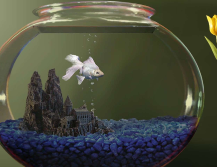 点击查看原图 扣扣截图20220318000650.png